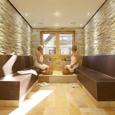 Naturparkhotel Adler Wolfach