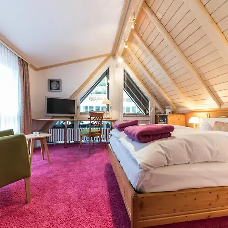 Hotel Naturparkhotel Adler Wolfach