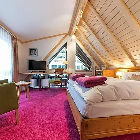 Hotel Naturparkhotel Adler Wolfach