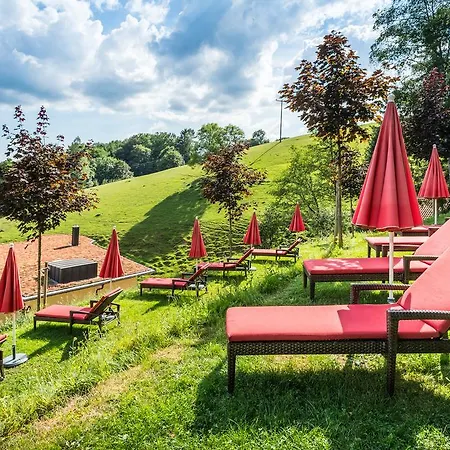 Hotel Naturparkhotel Adler Wolfach