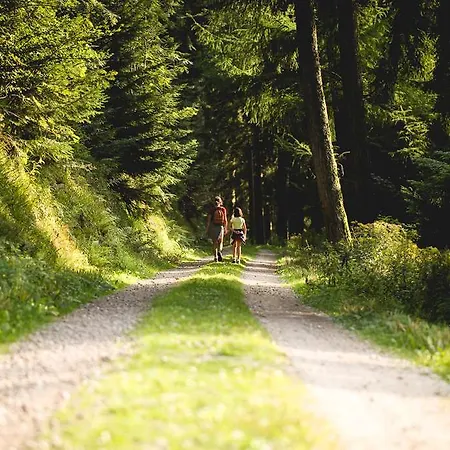 Naturparkhotel Adler Hotel