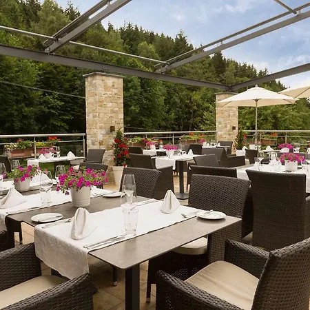 Hotel Naturparkhotel Adler Wolfach