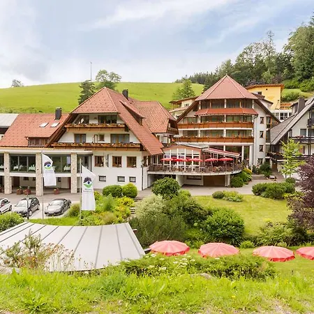 Naturparkhotel Adler Hotel Wolfach