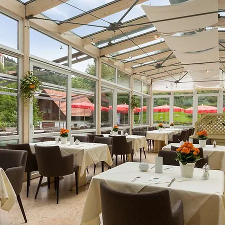 Hotel Naturparkhotel Adler