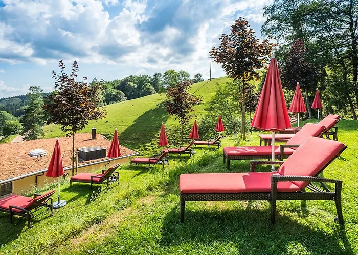 Отель Naturparkhotel Adler Вольфах