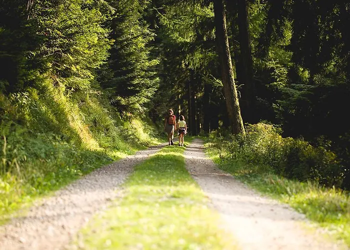 Naturparkhotel Adler Отель
