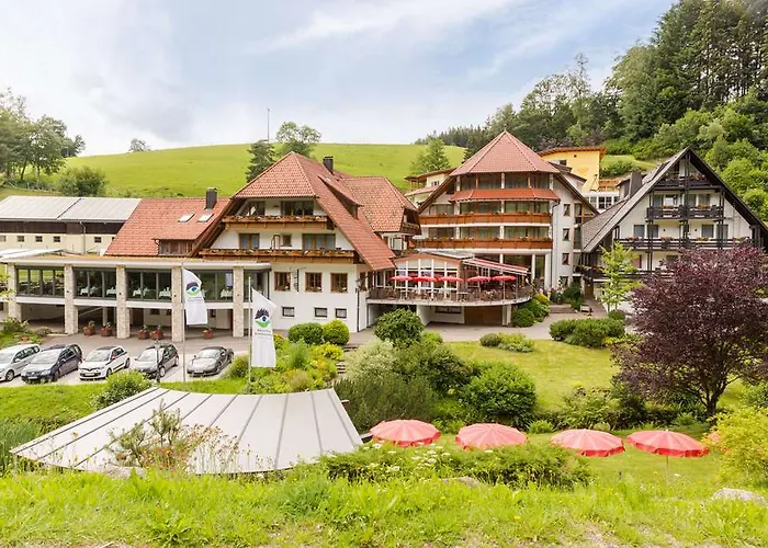 Naturparkhotel Adler Отель Вольфах