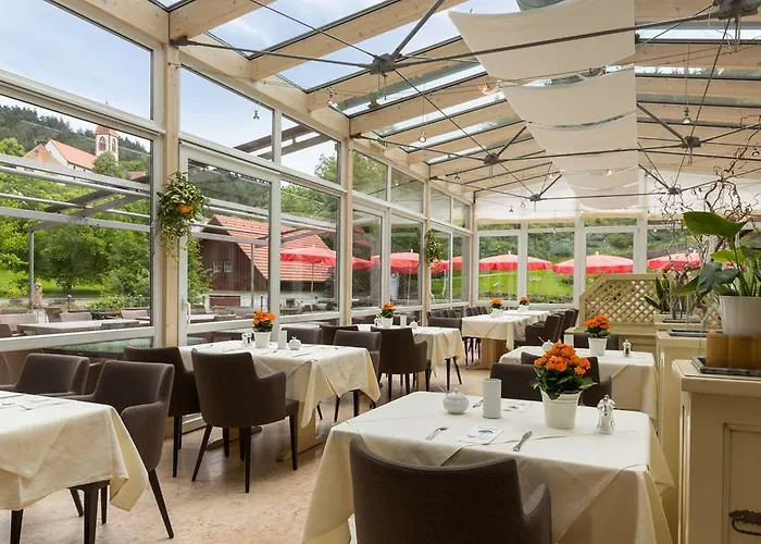 Отель Naturparkhotel Adler